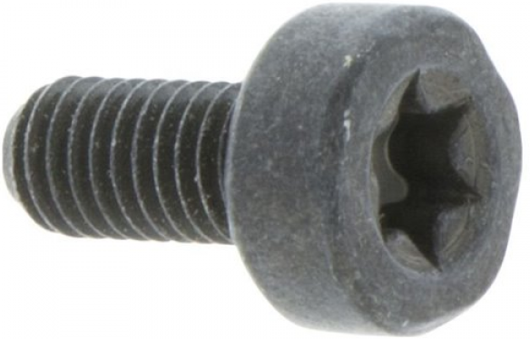 Screw Torx D10, M5X10.5 5032153-10 in the group  at Gräsklipparbutiken (5032153-10)