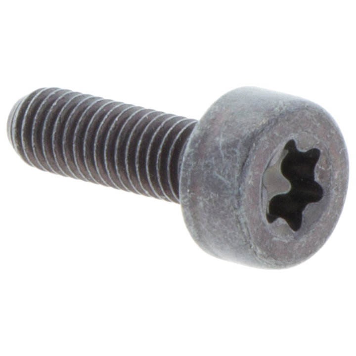 Screw 5032153-16 in the group  at Gräsklipparbutiken (5032153-16)