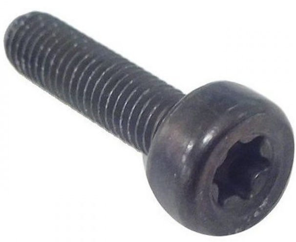 Screw Torx D10, M5X20 5032153-20 in the group  at Gräsklipparbutiken (5032153-20)