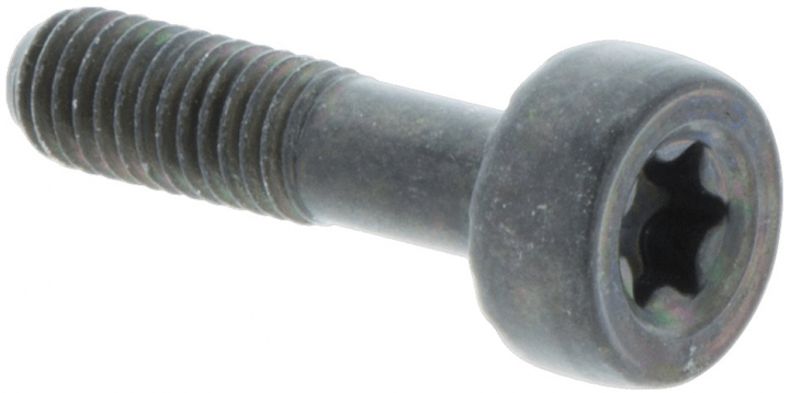 Screw Torx D10, M5X20 5032153-21 in the group  at Gräsklipparbutiken (5032153-21)