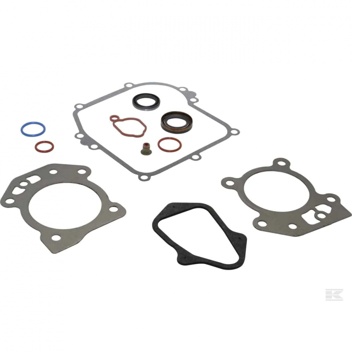 Gasket Kit B&S 595350 in the group B&S 08P502-0022-H1 at Gräsklipparbutiken (5822886-23)