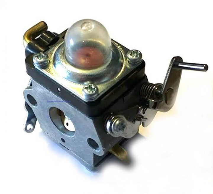 Carburetor Complete in the group  at Gräsklipparbutiken (5966583-01)