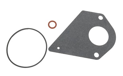 Carburetor Rep. Kit Gasket in the group  at Gräsklipparbutiken (694931)