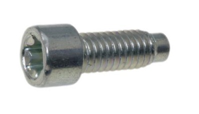 Screw in the group  at Gräsklipparbutiken (698941)