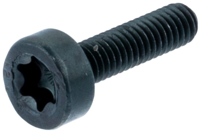 Screw 5268181-01